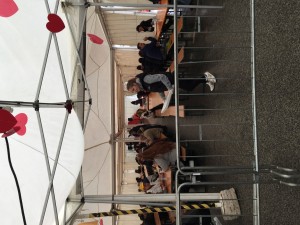 IMG 7428