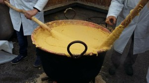 IMG 7435